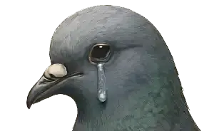 When Doves Cry
