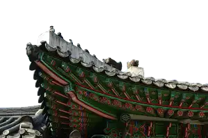 비오는 풍경